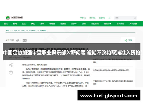 中国足协加强审查职业俱乐部欠薪问题 逾期不改将取消准入资格